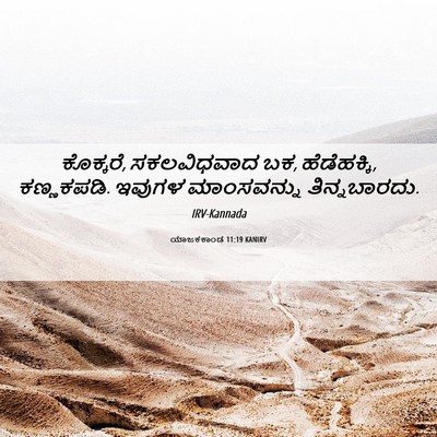 Picture 06 - ಯಾಜಕಕಾಂಡ 11:19 KANIRV - ಕೊಕ್ಕರೆ, - Bible Verse Picture