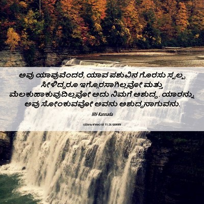 Picture 06 - ಯಾಜಕಕಾಂಡ 11:26 KANIRV - ಅವು ಯಾವುವೆಂದರೆ, - Bible Verse Picture