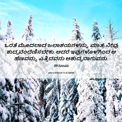 Picture 06 - ಯಾಜಕಕಾಂಡ 11:36 KANIRV - ಒರತೆ ಮೊದಲಾದ - Bible Verse Picture