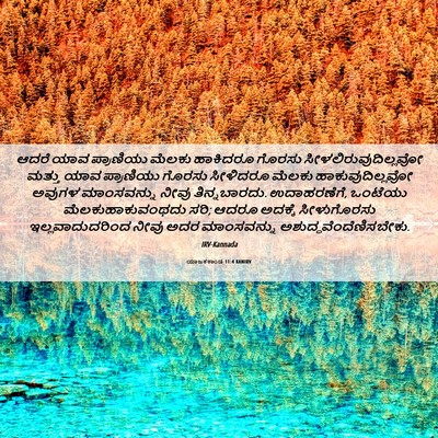 Picture 06 - ಯಾಜಕಕಾಂಡ 11:4 KANIRV - ಆದರೆ ಯಾವ ಪ್ರಾಣಿಯು - Bible Verse Picture