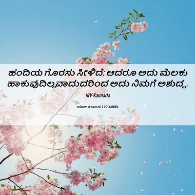 Picture 06 - ಯಾಜಕಕಾಂಡ 11:7 KANIRV - ಹಂದಿಯ ಗೊರಸು - Bible Verse Picture
