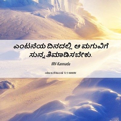 Picture 06 - ಯಾಜಕಕಾಂಡ 12:3 KANIRV - ಎಂಟನೆಯ ದಿನದಲ್ಲಿ ಆ - Bible Verse Picture