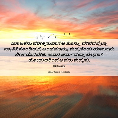 Picture 06 - ಯಾಜಕಕಾಂಡ 13:13 KANIRV - ಯಾಜಕನು - Bible Verse Picture