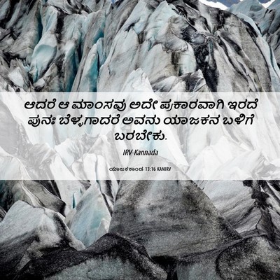 Picture 06 - ಯಾಜಕಕಾಂಡ 13:16 KANIRV - ಆದರೆ ಆ ಮಾಂಸವು ಅದೇ - Bible Verse Picture