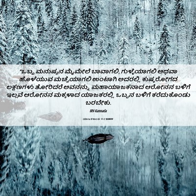 Picture 06 - ಯಾಜಕಕಾಂಡ 13:2 KANIRV - “ಒಬ್ಬ ಮನುಷ್ಯನ - Bible Verse Picture