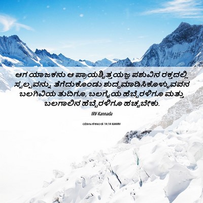 Picture 06 - ಯಾಜಕಕಾಂಡ 14:14 KANIRV - ಆಗ ಯಾಜಕನು ಆ - Bible Verse Picture