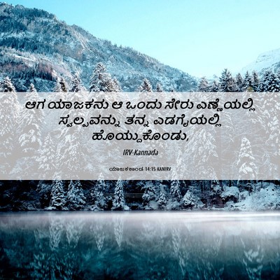 Picture 06 - ಯಾಜಕಕಾಂಡ 14:15 KANIRV - ಆಗ ಯಾಜಕನು ಆ ಒಂದು - Bible Verse Picture