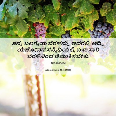Picture 06 - ಯಾಜಕಕಾಂಡ 14:16 KANIRV - ತನ್ನ ಬಲಗೈಯ - Bible Verse Picture