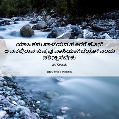 Picture 06 - ಯಾಜಕಕಾಂಡ 14:3 KANIRV - ಯಾಜಕನು ಪಾಳೆಯದ - Bible Verse Picture
