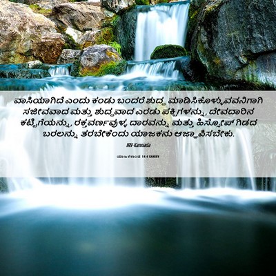 Picture 06 - ಯಾಜಕಕಾಂಡ 14:4 KANIRV - ವಾಸಿಯಾಗಿದೆ ಎಂದು - Bible Verse Picture