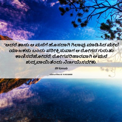 Picture 06 - ಯಾಜಕಕಾಂಡ 14:48 KANIRV - “ಆದರೆ ತಾನು ಆ ಮನೆಗೆ - Bible Verse Picture