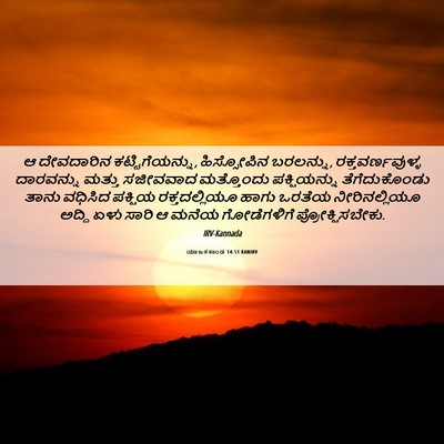 Picture 06 - ಯಾಜಕಕಾಂಡ 14:51 KANIRV - ಆ ದೇವದಾರಿನ - Bible Verse Picture