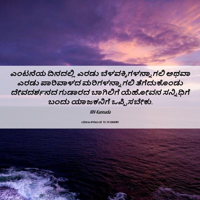 Picture 06 - ಯಾಜಕಕಾಂಡ 15:14 KANIRV - ಎಂಟನೆಯ ದಿನದಲ್ಲಿ - Bible Verse Picture