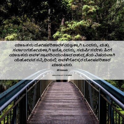 Picture 06 - ಯಾಜಕಕಾಂಡ 15:30 KANIRV - ಯಾಜಕನು ದೋಷಪರಿಹಾರಕ - Bible Verse Picture