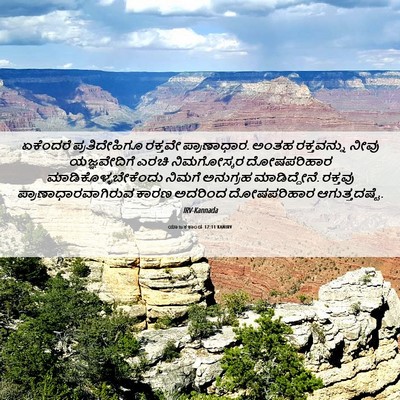 Picture 06 - ಯಾಜಕಕಾಂಡ 17:11 KANIRV - ಏಕೆಂದರೆ - Bible Verse Picture