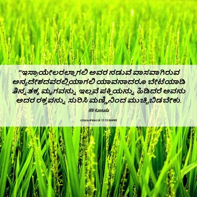 Picture 06 - ಯಾಜಕಕಾಂಡ 17:13 KANIRV -  - Bible Verse Picture