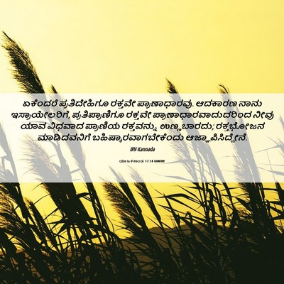 Picture 06 - ಯಾಜಕಕಾಂಡ 17:14 KANIRV - ಏಕೆಂದರೆ - Bible Verse Picture
