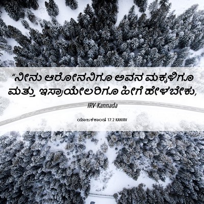 Picture 06 - ಯಾಜಕಕಾಂಡ 17:2 KANIRV - “ನೀನು ಆರೋನನಿಗೂ - Bible Verse Picture