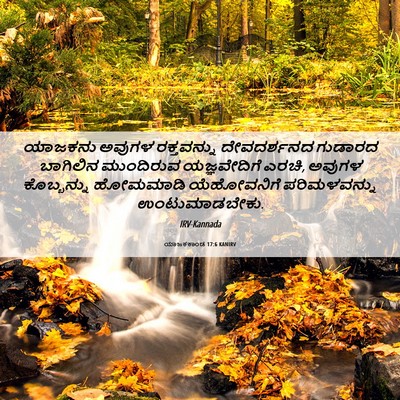 Picture 06 - ಯಾಜಕಕಾಂಡ 17:6 KANIRV - ಯಾಜಕನು ಅವುಗಳ - Bible Verse Picture