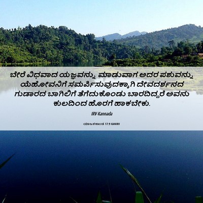 Picture 06 - ಯಾಜಕಕಾಂಡ 17:9 KANIRV - ಬೇರೆ ವಿಧವಾದ - Bible Verse Picture