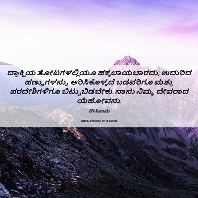 Picture 06 - ಯಾಜಕಕಾಂಡ 19:10 KANIRV - ದ್ರಾಕ್ಷಿಯ - Bible Verse Picture