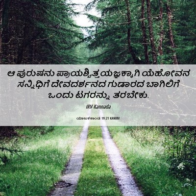 Picture 06 - ಯಾಜಕಕಾಂಡ 19:21 KANIRV - ಆ ಪುರುಷನು - Bible Verse Picture
