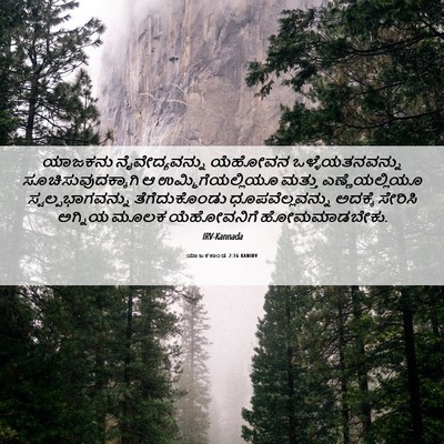 Picture 06 - ಯಾಜಕಕಾಂಡ 2:16 KANIRV - ಯಾಜಕನು - Bible Verse Picture