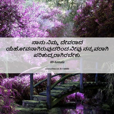 Picture 06 - ಯಾಜಕಕಾಂಡ 20:7 KANIRV - ನಾನು ನಿಮ್ಮ ದೇವರಾದ - Bible Verse Picture