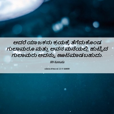Picture 06 - ಯಾಜಕಕಾಂಡ 22:11 KANIRV - ಆದರೆ ಯಾಜಕನು - Bible Verse Picture