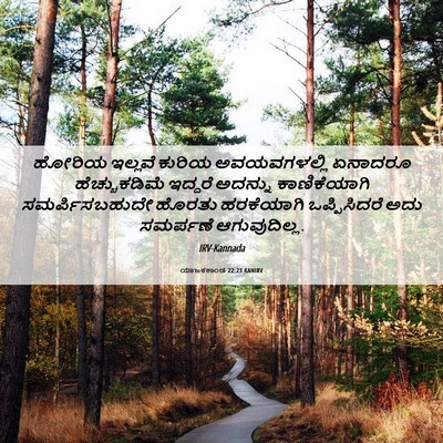 Picture 06 - ಯಾಜಕಕಾಂಡ 22:23 KANIRV - ಹೋರಿಯ ಇಲ್ಲವೆ - Bible Verse Picture