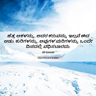 Picture 06 - ಯಾಜಕಕಾಂಡ 22:28 KANIRV - ಹೆತ್ತ ಆಕಳನ್ನು, ಅದರ - Bible Verse Picture