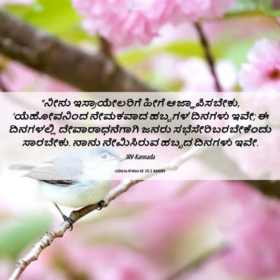 Picture 06 - ಯಾಜಕಕಾಂಡ 23:2 KANIRV - “ನೀನು - Bible Verse Picture