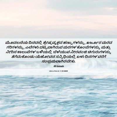 Picture 06 - ಯಾಜಕಕಾಂಡ 23:40 KANIRV - ಮೊದಲನೆಯ ದಿನದಲ್ಲಿ - Bible Verse Picture
