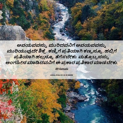 Picture 06 - ಯಾಜಕಕಾಂಡ 24:20 KANIRV - ಅವಯವವನ್ನು - Bible Verse Picture
