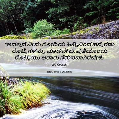 Picture 06 - ಯಾಜಕಕಾಂಡ 24:5 KANIRV - “ಅದಲ್ಲದೆ ನೀನು - Bible Verse Picture