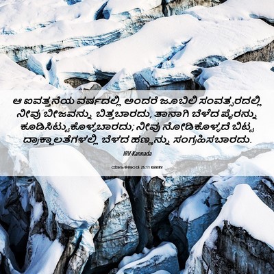 Picture 06 - ಯಾಜಕಕಾಂಡ 25:11 KANIRV - ಆ ಐವತ್ತನೆಯ - Bible Verse Picture