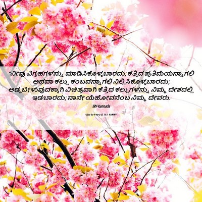 Picture 06 - ಯಾಜಕಕಾಂಡ 26:1 KANIRV - “ನೀವು - Bible Verse Picture