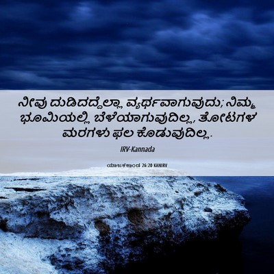 Picture 06 - ಯಾಜಕಕಾಂಡ 26:20 KANIRV - ನೀವು - Bible Verse Picture