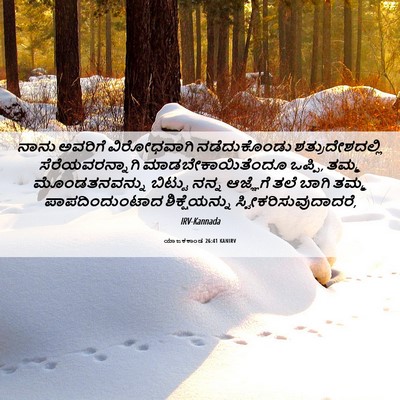 Picture 06 - ಯಾಜಕಕಾಂಡ 26:41 KANIRV - ನಾನು ಅವರಿಗೆ - Bible Verse Picture