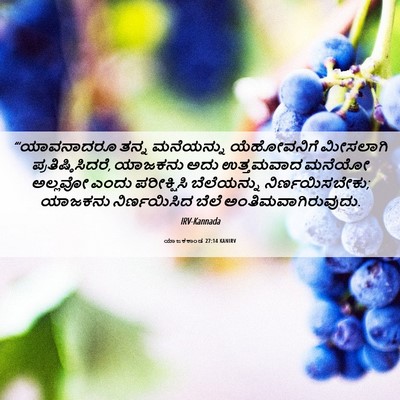 Picture 06 - ಯಾಜಕಕಾಂಡ 27:14 KANIRV - “‘ಯಾವನಾದರೂ ತನ್ನ - Bible Verse Picture