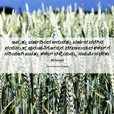 Picture 06 - ಯಾಜಕಕಾಂಡ 27:3 KANIRV - ಇಪ್ಪತ್ತು ವರ್ಷದಿಂದ - Bible Verse Picture