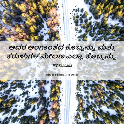 Picture 06 - ಯಾಜಕಕಾಂಡ 3:14 KANIRV - ಅದರ ಅಂಗಾಂಶದ - Bible Verse Picture