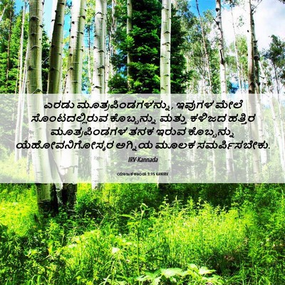 Picture 06 - ಯಾಜಕಕಾಂಡ 3:15 KANIRV - ಎರಡು - Bible Verse Picture