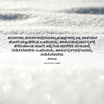 Picture 06 - ಯಾಜಕಕಾಂಡ 4:12 KANIRV - ಕರುಳುಗಳು, - Bible Verse Picture