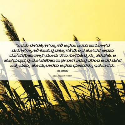 Picture 06 - ಯಾಜಕಕಾಂಡ 5:11 KANIRV - “‘ಎರಡು - Bible Verse Picture