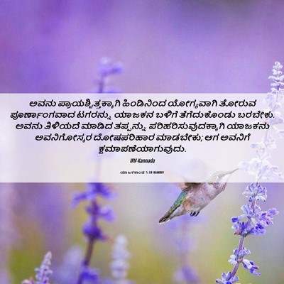 Picture 06 - ಯಾಜಕಕಾಂಡ 5:18 KANIRV - ಅವನು - Bible Verse Picture