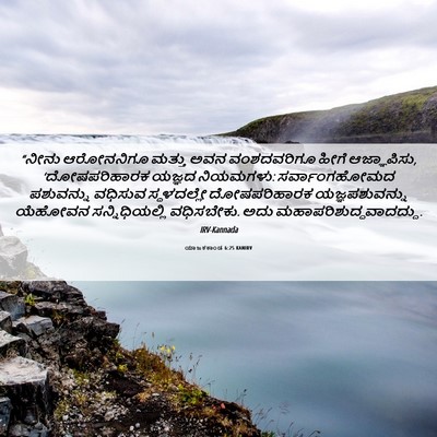 Picture 06 - ಯಾಜಕಕಾಂಡ 6:25 KANIRV - “ನೀನು ಆರೋನನಿಗೂ - Bible Verse Picture