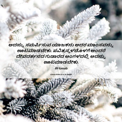 Picture 06 - ಯಾಜಕಕಾಂಡ 6:26 KANIRV - ಅದನ್ನು ಸಮರ್ಪಿಸುವ - Bible Verse Picture