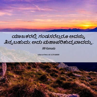 Picture 06 - ಯಾಜಕಕಾಂಡ 6:29 KANIRV - ಯಾಜಕರಲ್ಲಿ - Bible Verse Picture