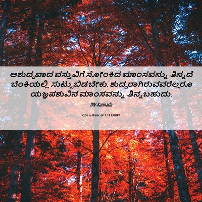 Picture 06 - ಯಾಜಕಕಾಂಡ 7:19 KANIRV - ಅಶುದ್ಧವಾದ - Bible Verse Picture